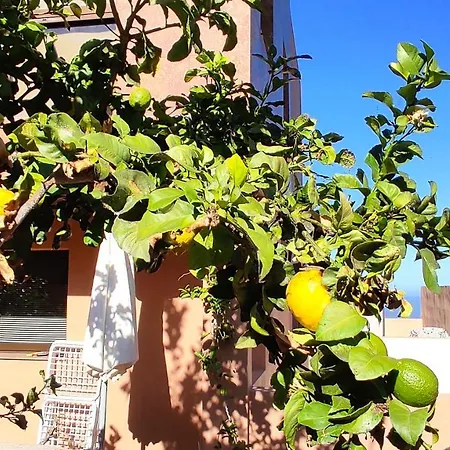 Casa Historia Guest house